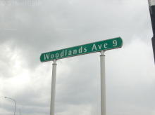 Blk 205 Woodlands Avenue 9 (S)738957 #77132
